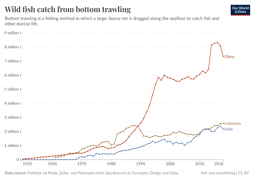 Wild fish catch from bottom trawling