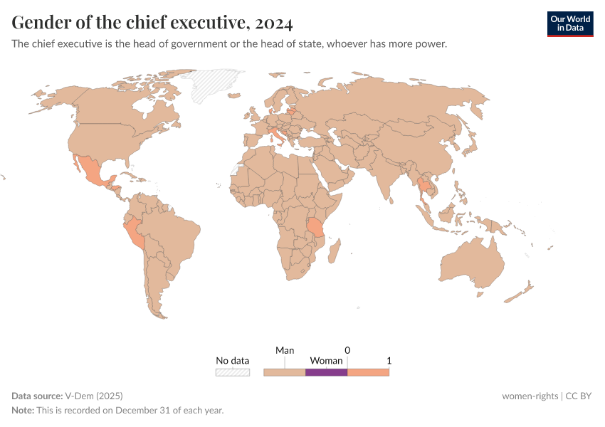 A thumbnail of the "Gender of the chief executive" chart