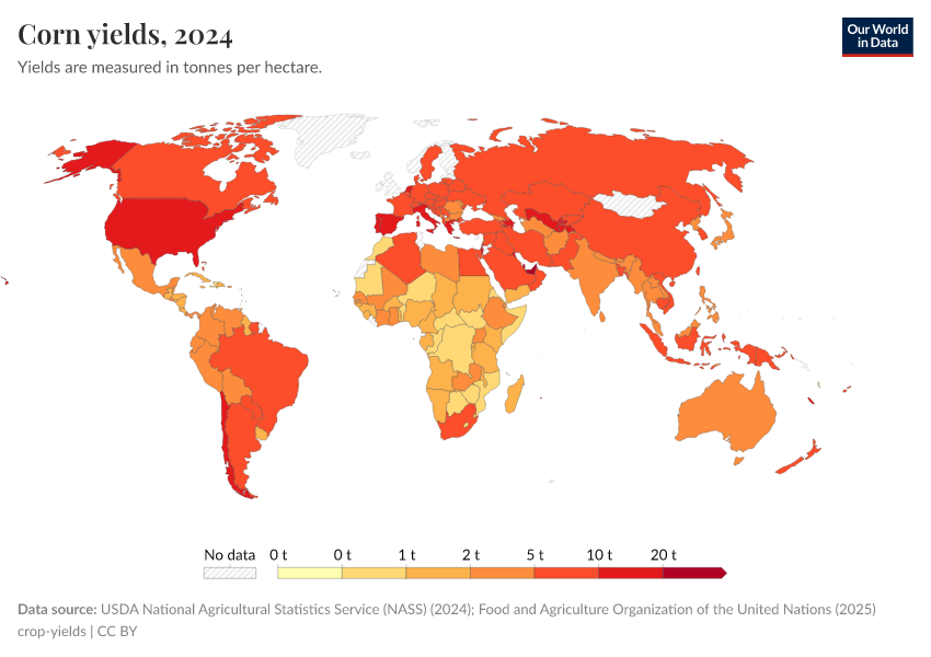 A thumbnail of the "Corn yields" chart
