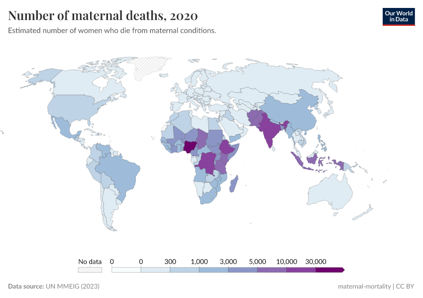 A thumbnail of the "Number of maternal deaths" chart
