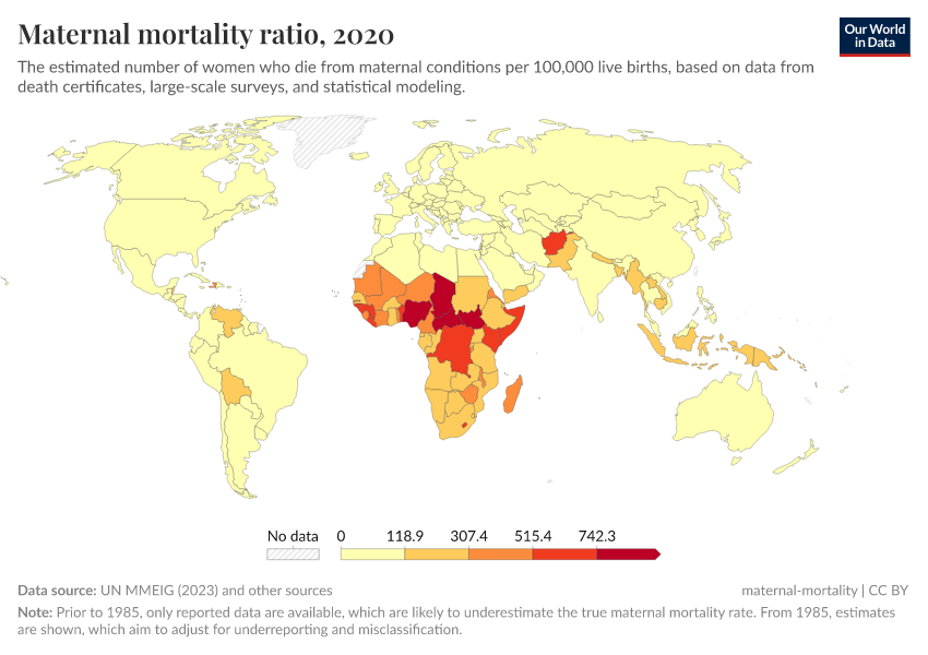 A thumbnail of the "Maternal mortality ratio" chart