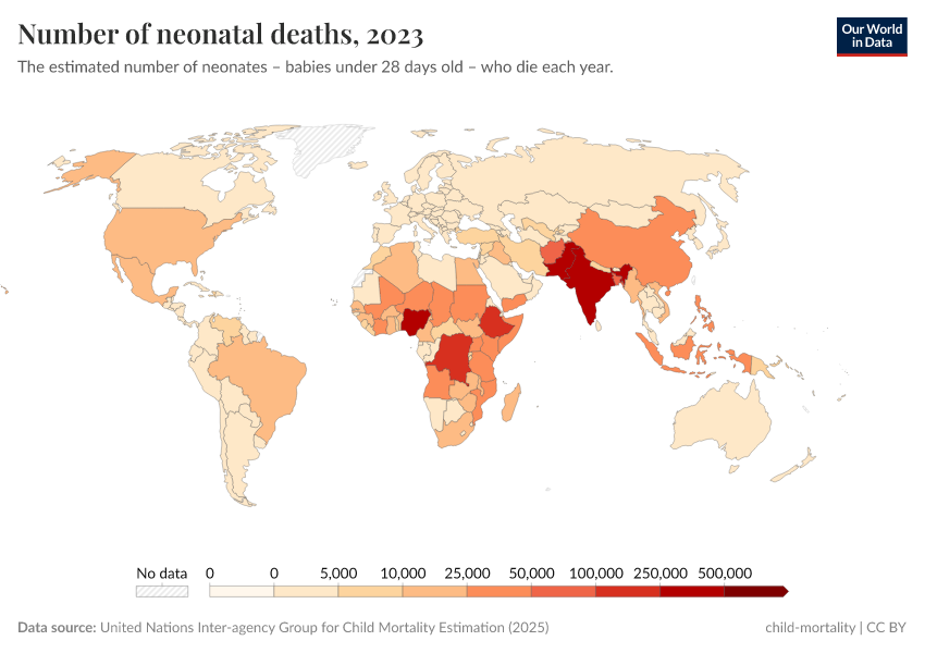 A thumbnail of the "Number of neonatal deaths" chart