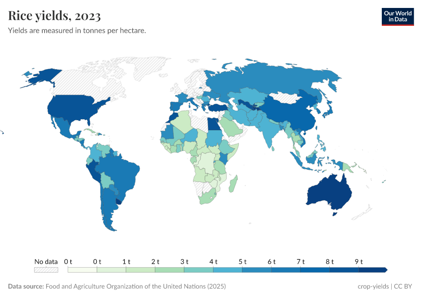 A thumbnail of the "Rice yields" chart