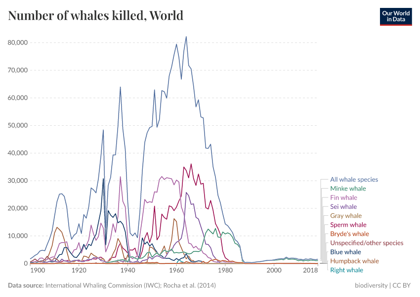 A thumbnail of the "Number of whales killed" chart