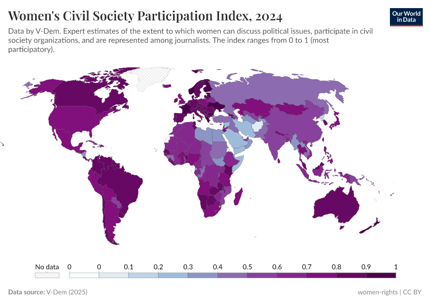 A thumbnail of the "Women's civil society participation index" chart